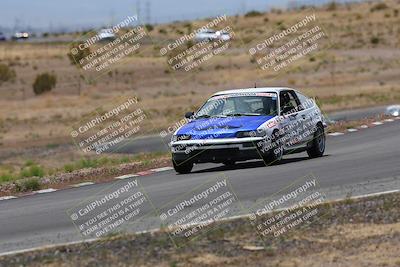 media/May-03-2025-Lucky Dog Racing (Sat) [[206de64b9d]]/Turn 6 (150pm-230pm)/